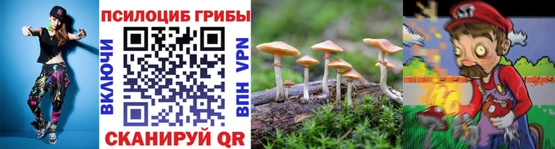 где продают наркотики  Зеленоградск  Галлюциногенные грибы ЛСД 